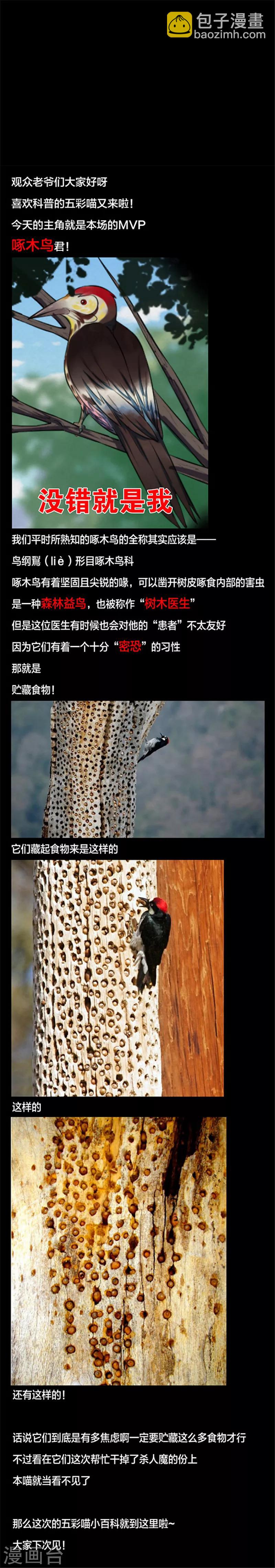 第131话 一见钟情2-第134话