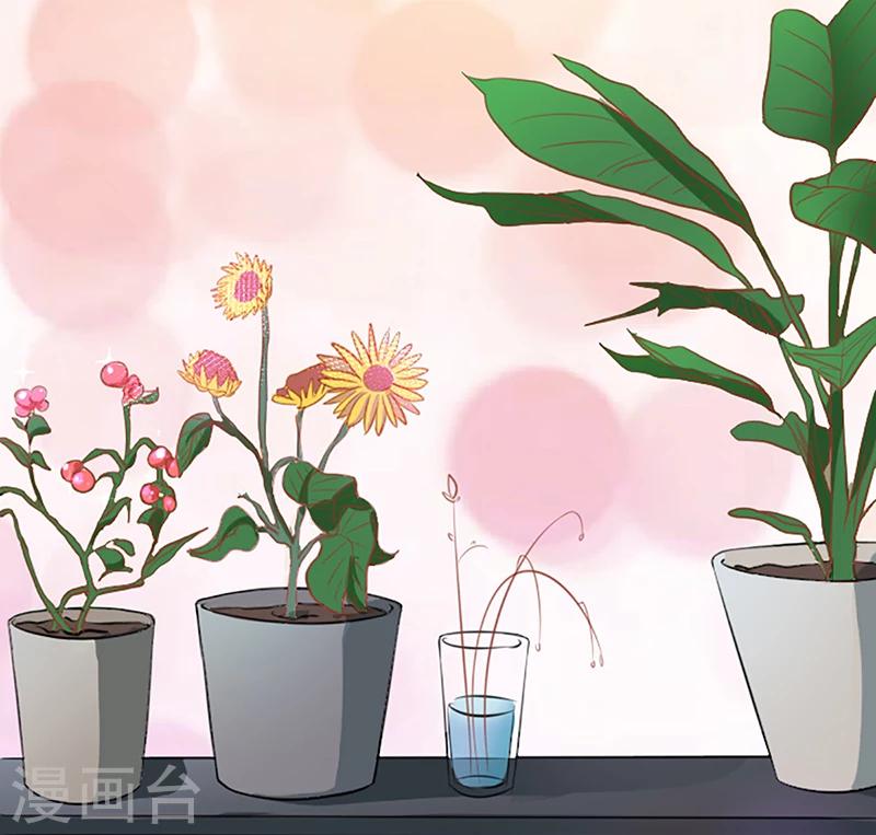 第8话 救出妮妮-第8话