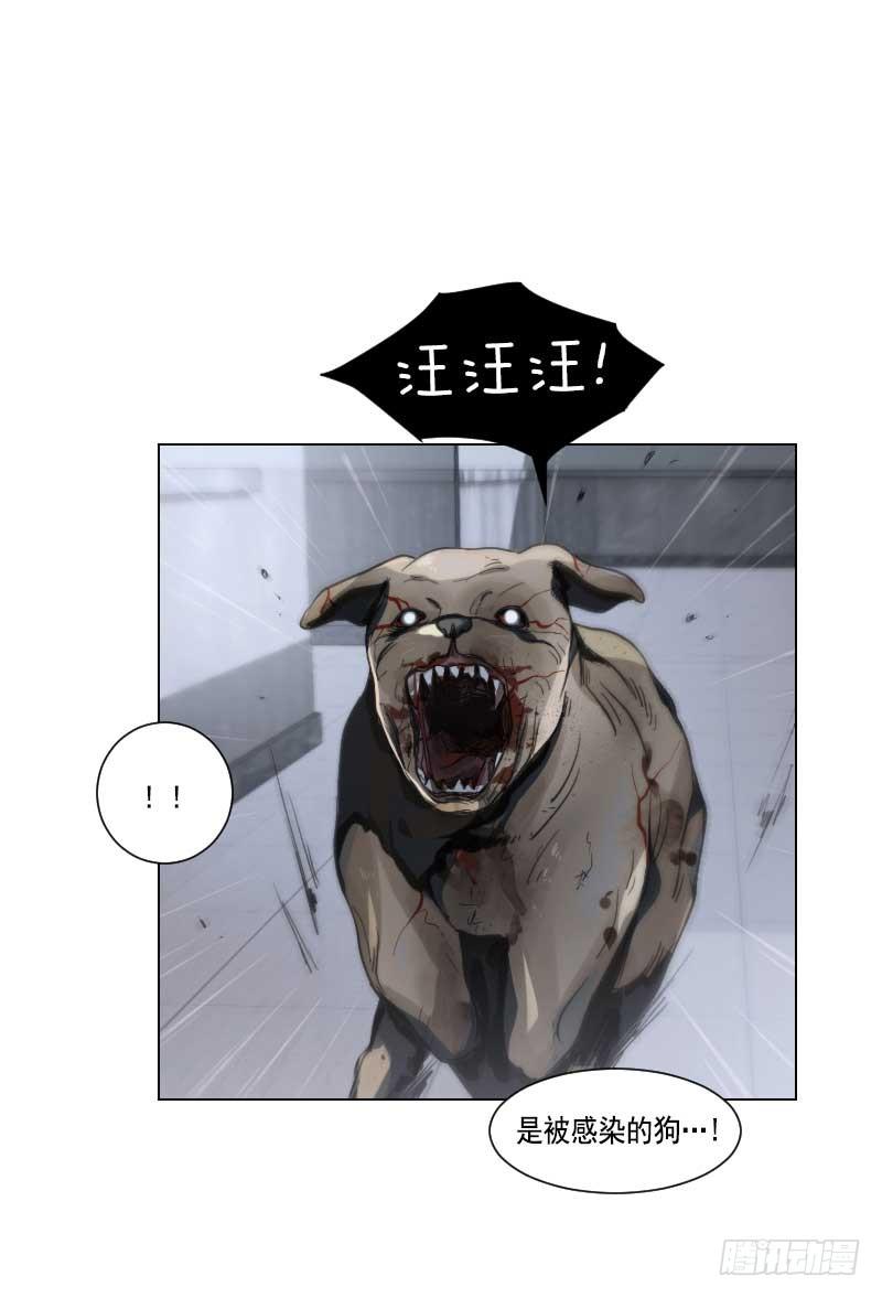 第四十话上-第80话