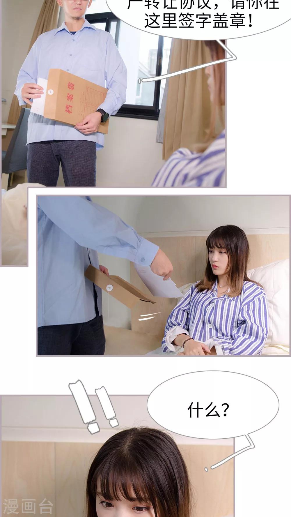 第42话  财产转让协议-第42话