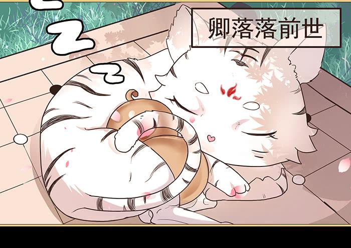 跨界追夫(1/2)-第2话