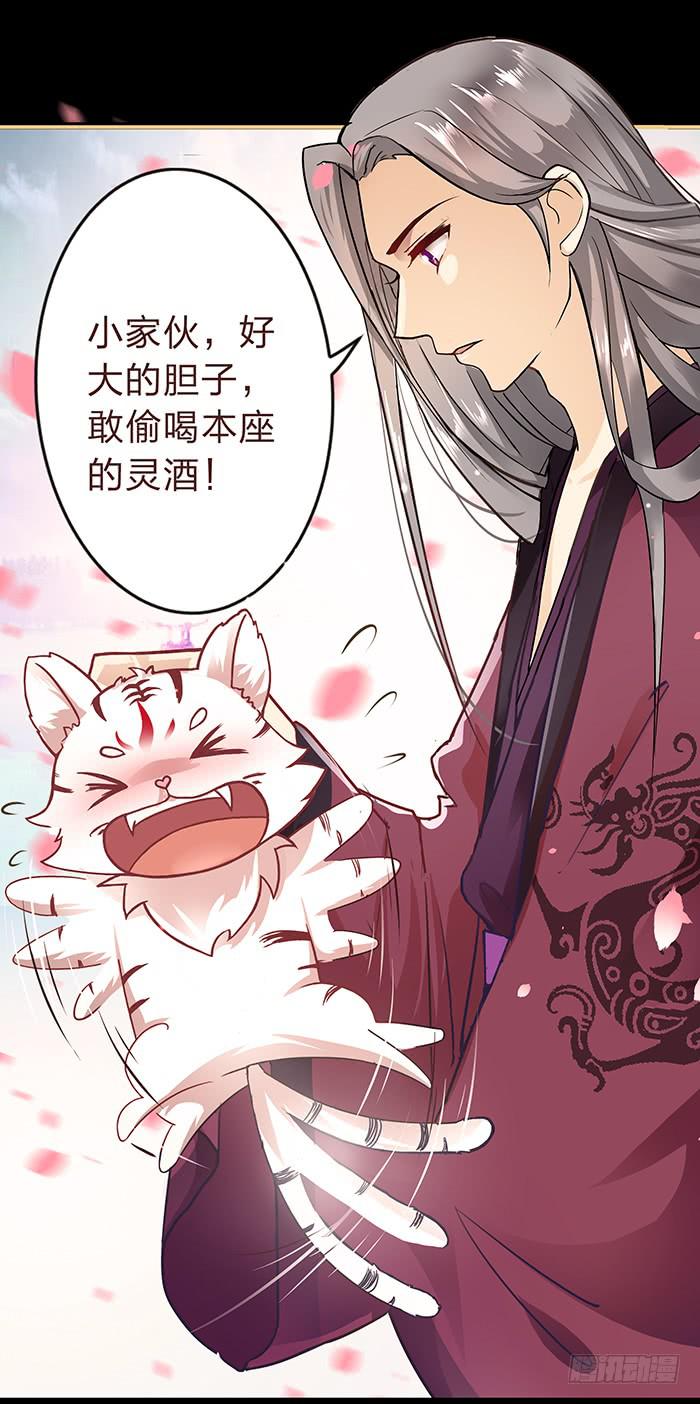 跨界追夫(1/2)-第2话