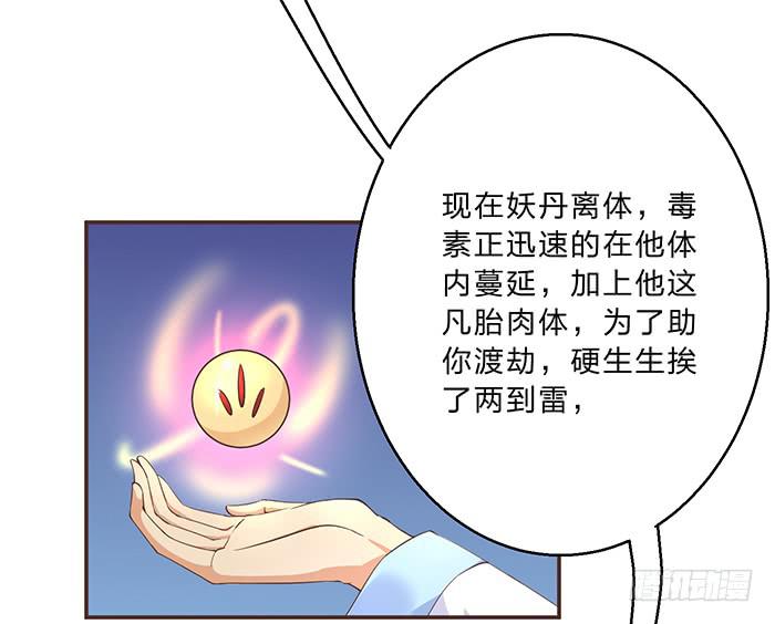 解毒(1/2)-第12话