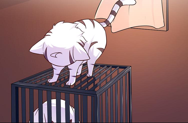 五公主(1/2)-第42话