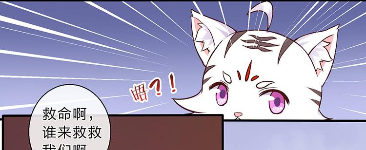 五公主(1/2)-第42话