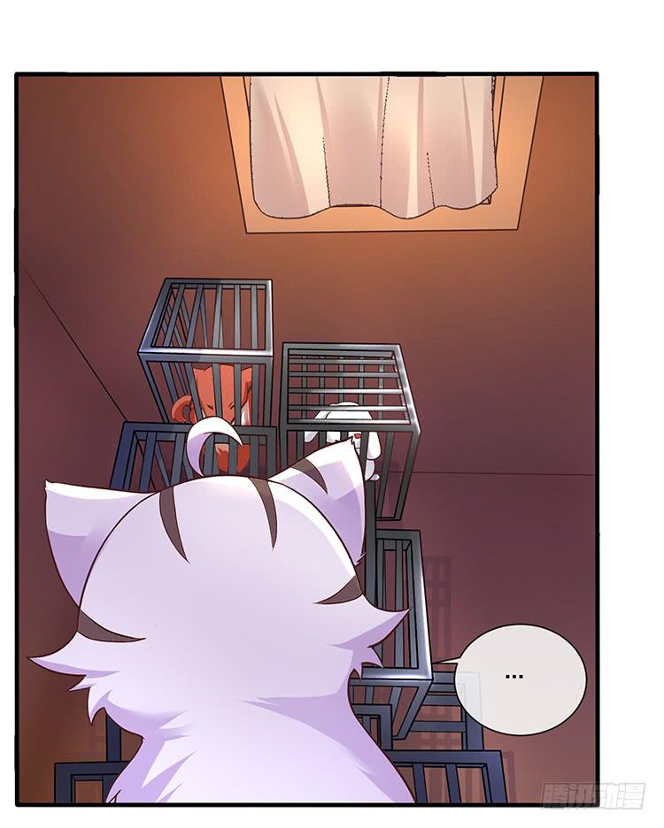 五公主(1/2)-第42话