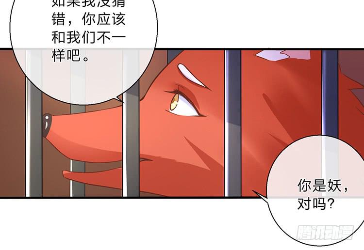 五公主(1/2)-第42话