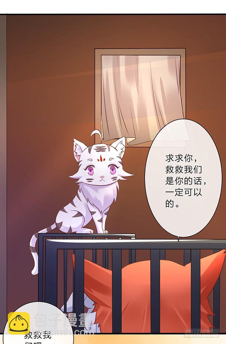 五公主(1/2)-第42话