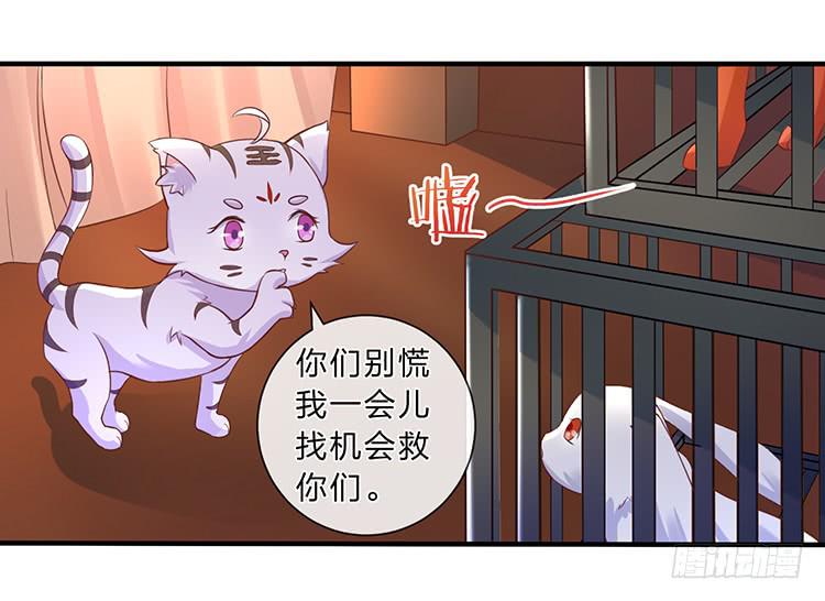 五公主(1/2)-第42话