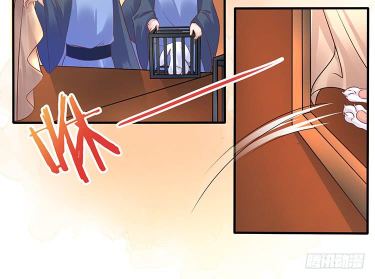 五公主(1/2)-第42话