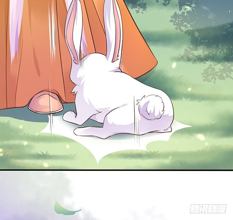 五公主(1/2)-第42话