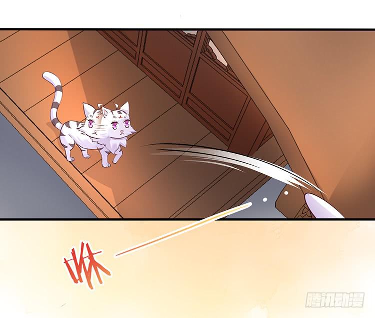 五公主(1/2)-第42话