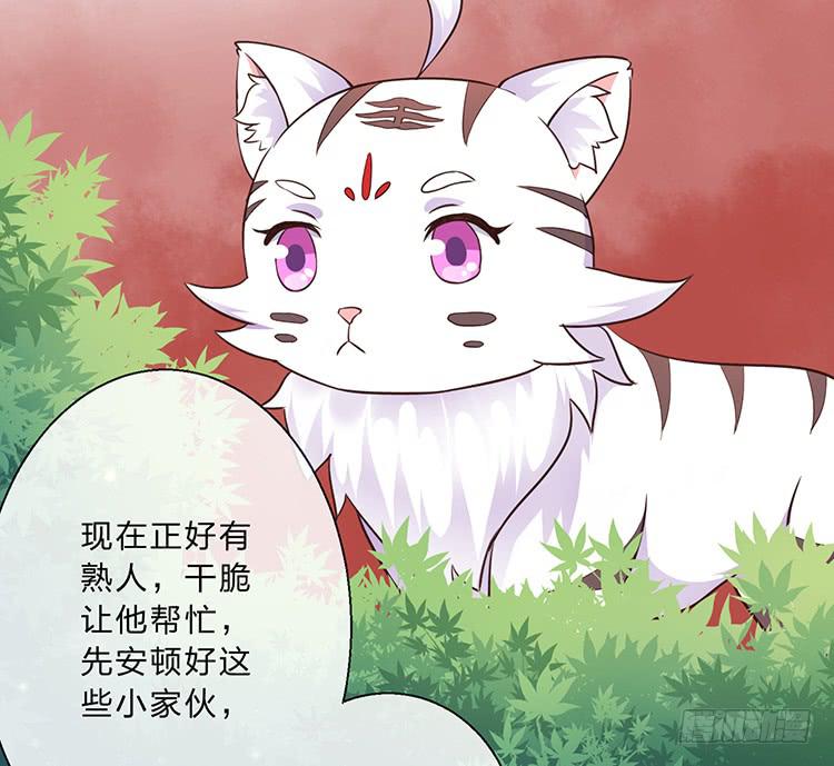 遇见熟人(1/2)-第44话