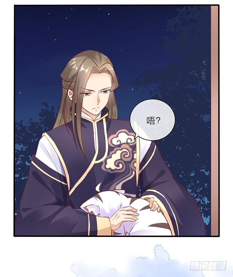 大闹寿宴-第46话