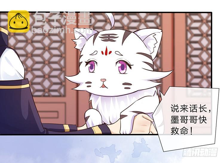 大闹寿宴-第46话