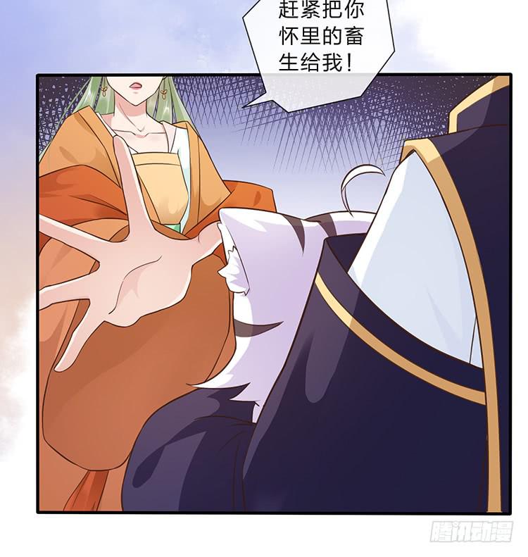 大闹寿宴-第46话