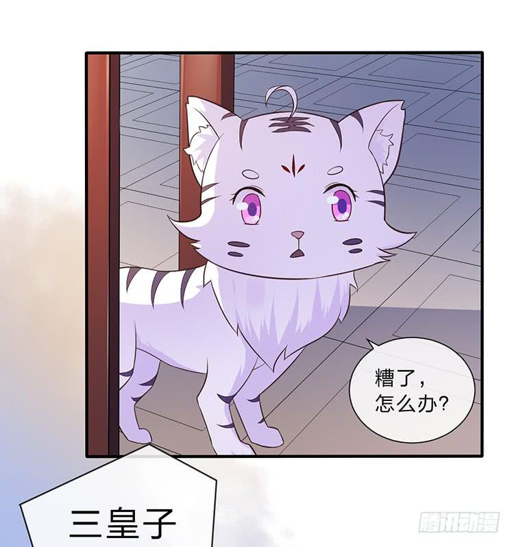 大闹寿宴-第46话