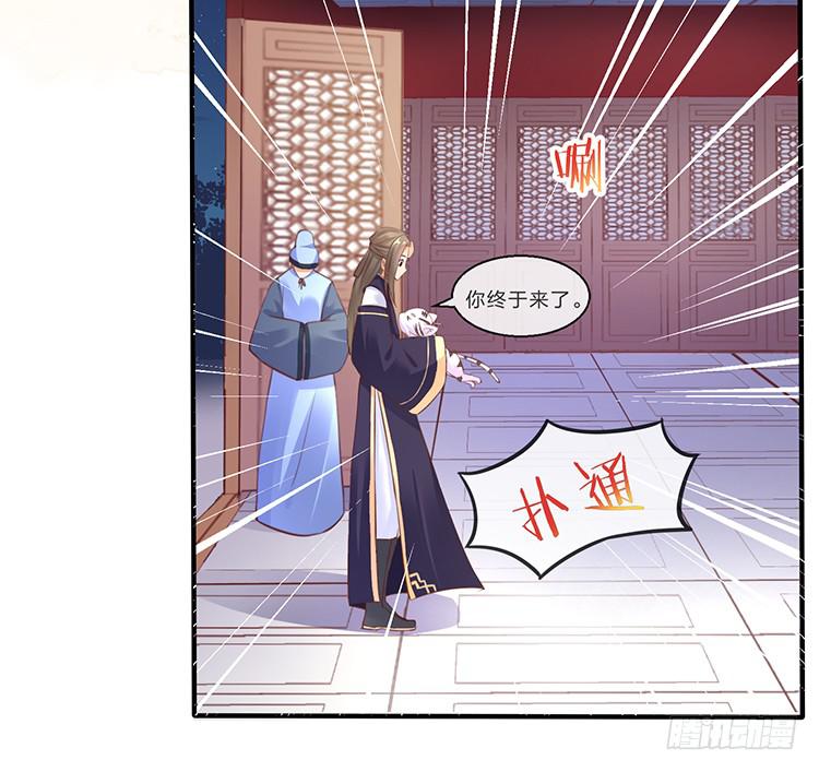 大闹寿宴-第46话