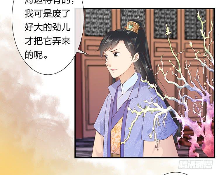 误会，这都是误会(1/2)-第48话