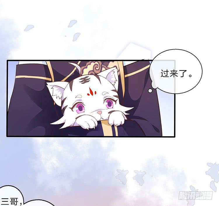 误会，这都是误会(1/2)-第48话