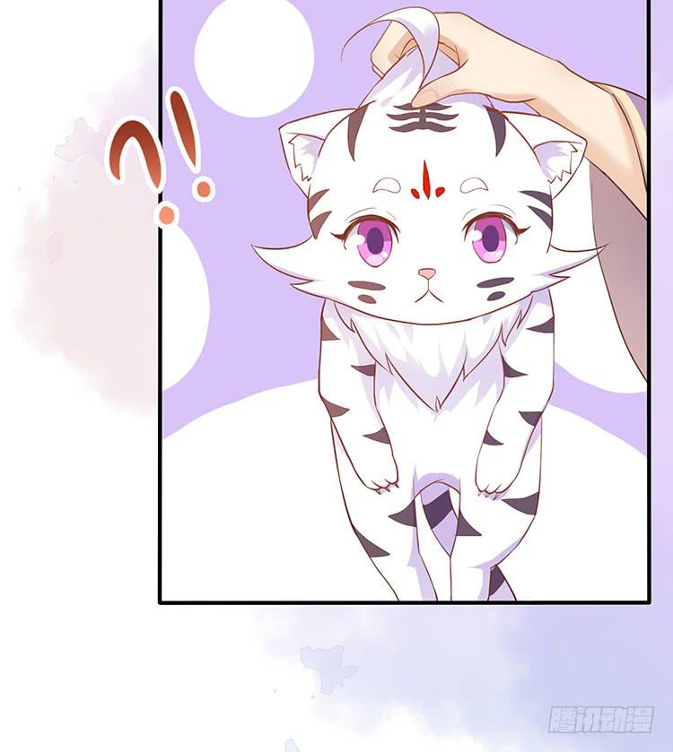 误会，这都是误会(1/2)-第48话