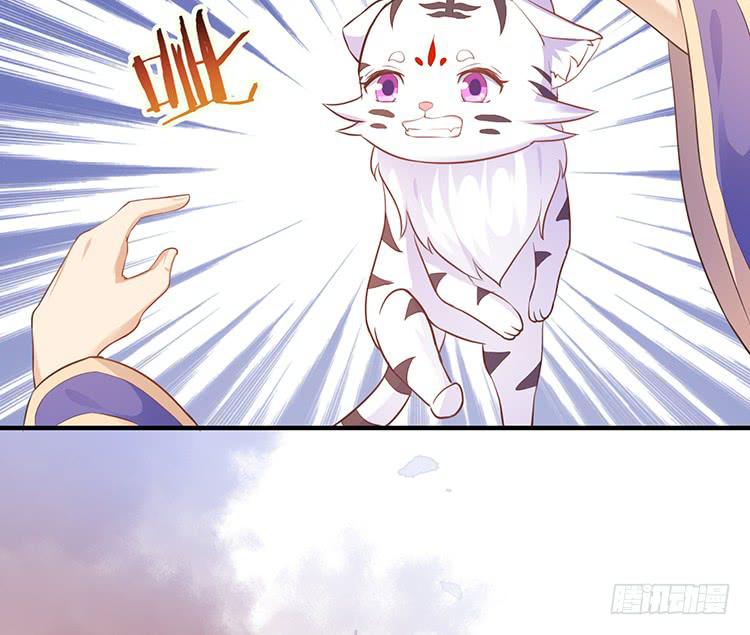 误会，这都是误会(1/2)-第48话