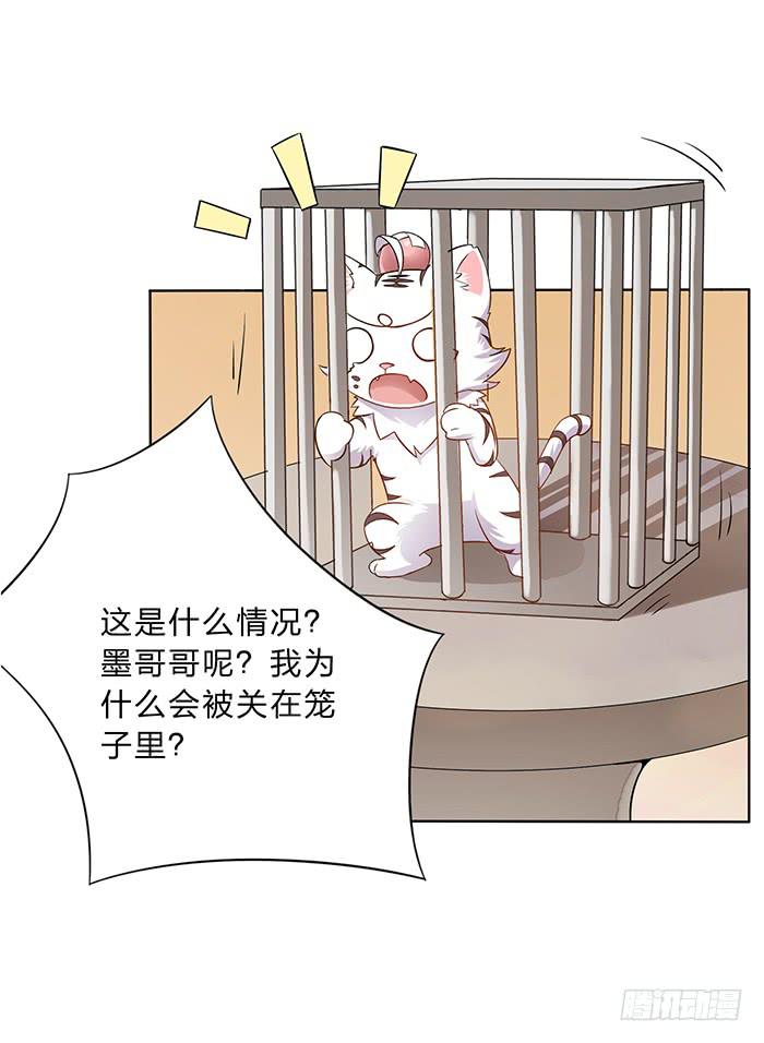 买买买(1/2)-第6话