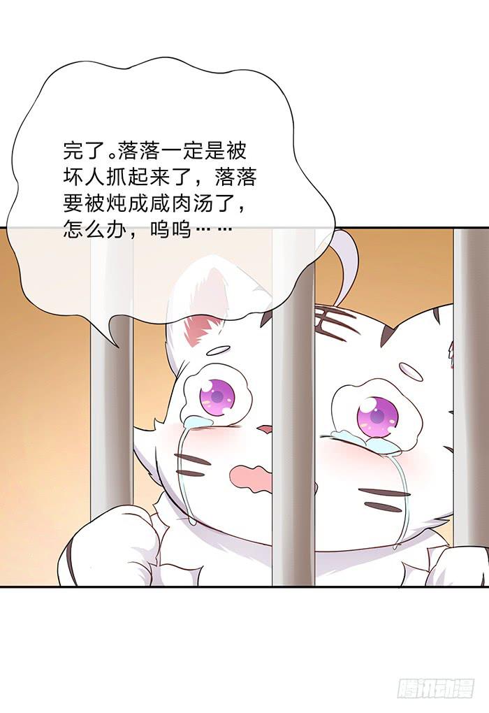 买买买(1/2)-第6话