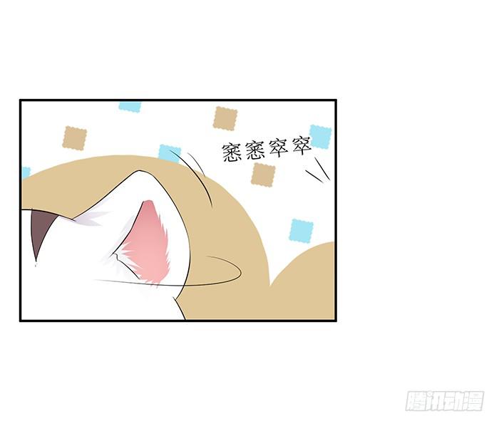 买买买(1/2)-第6话