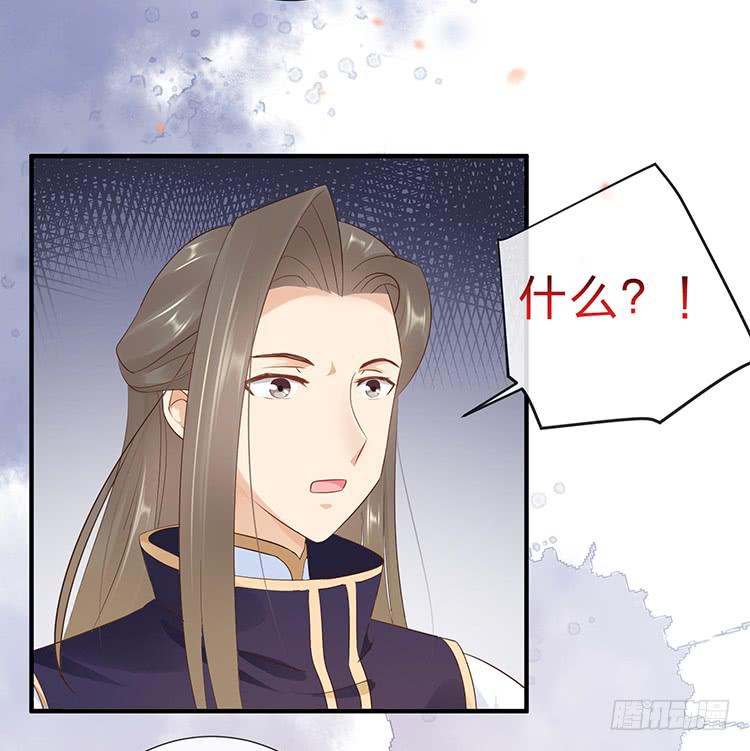 是巧合还是阴谋(1/2)-第52话