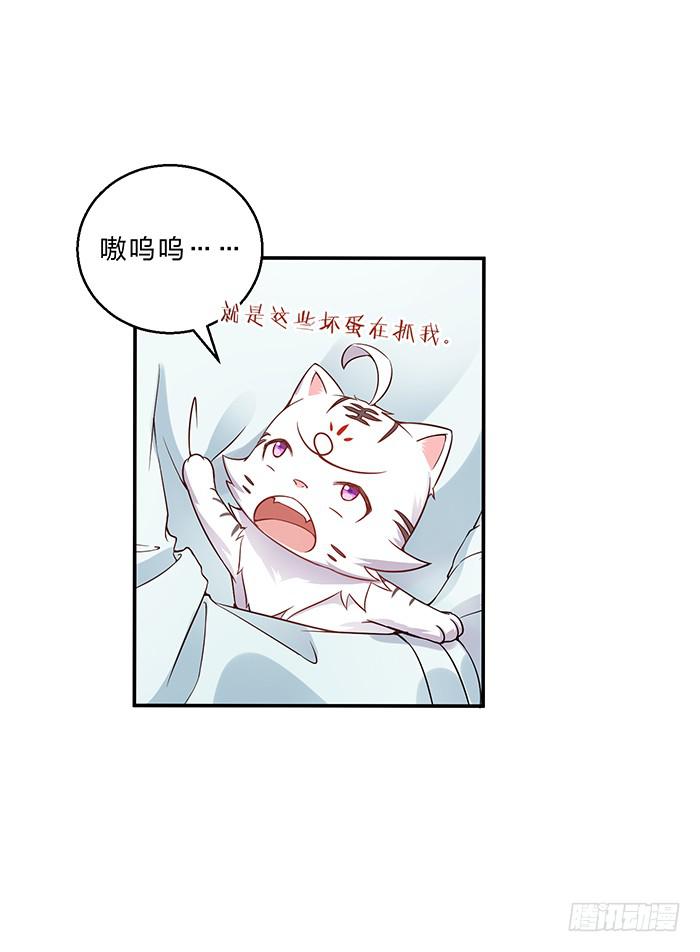 王府乌龙-第8话