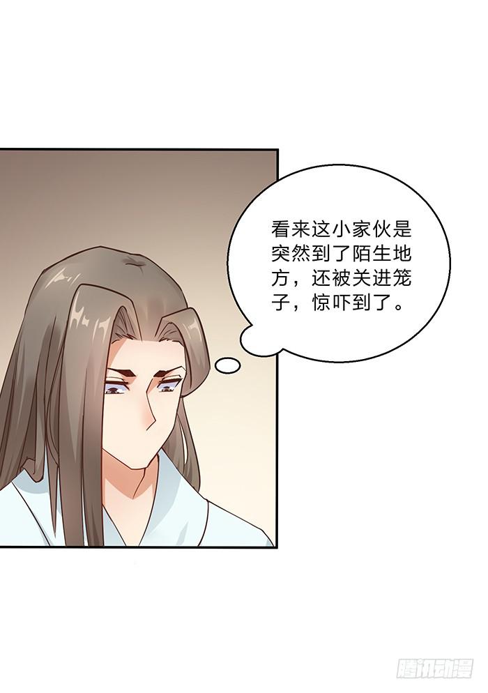 王府乌龙-第8话