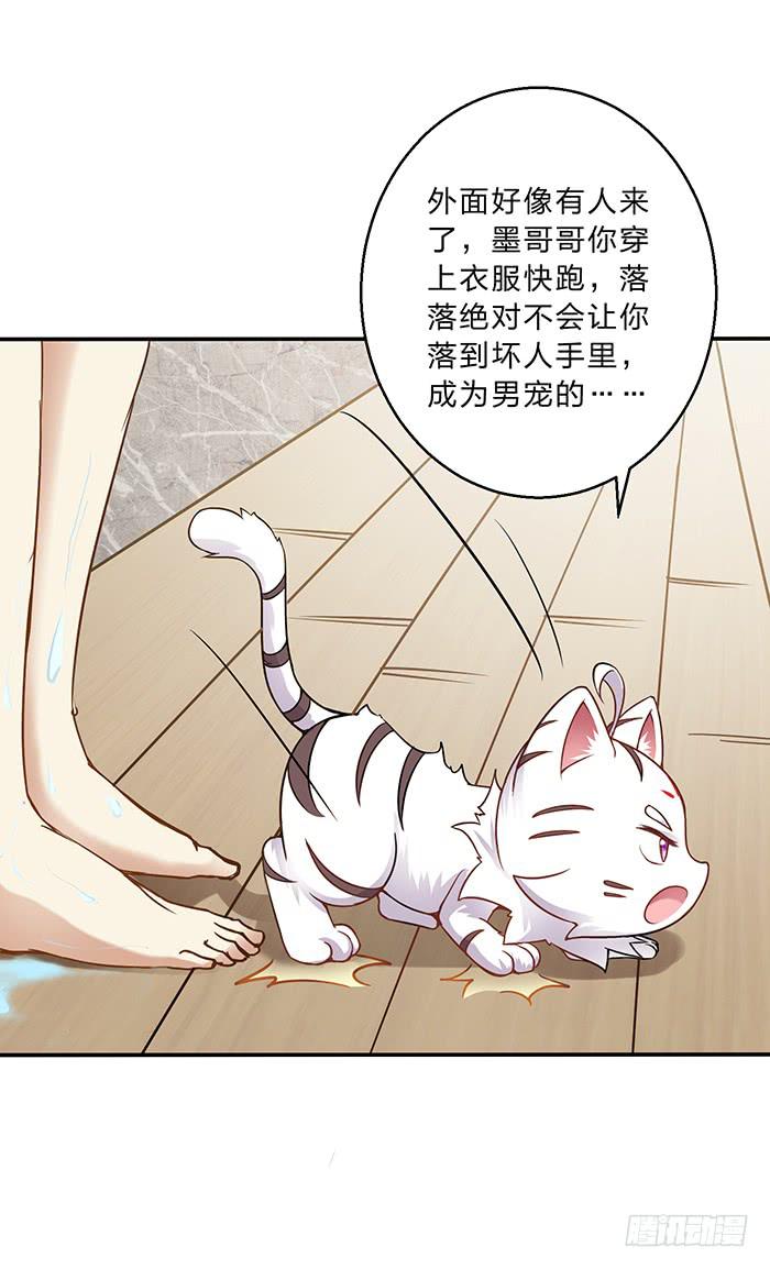 王府乌龙-第8话