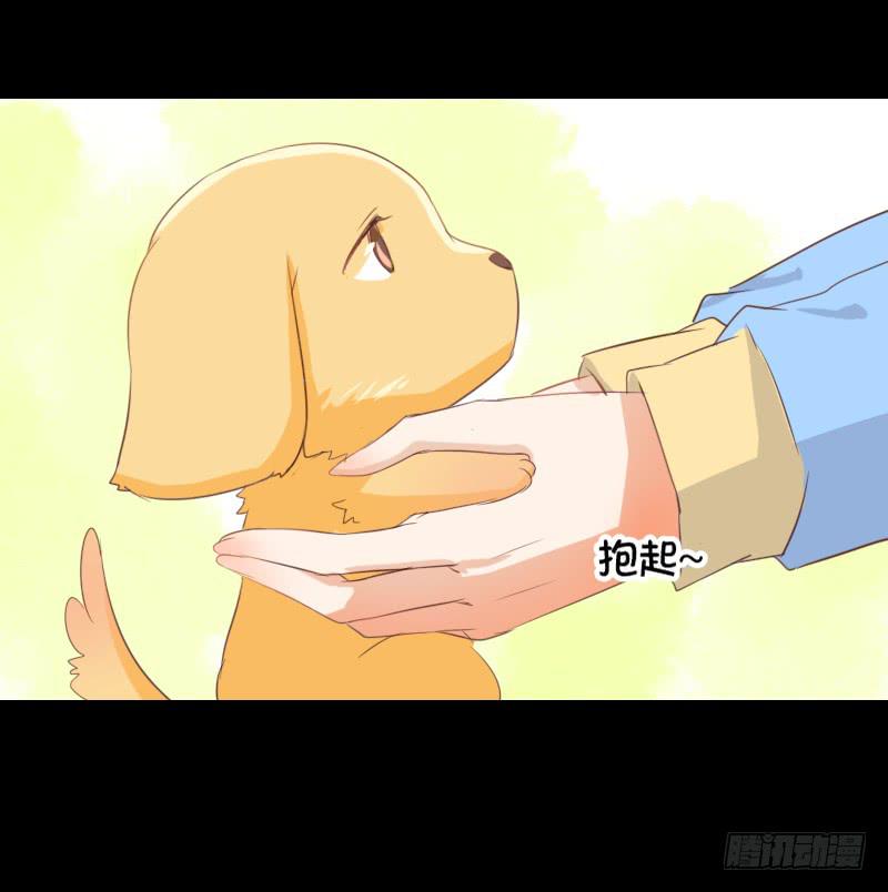 解决办法-第12话