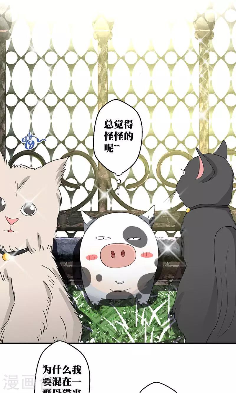 第3话 你的精神是怎么回事啊 ？-第4话