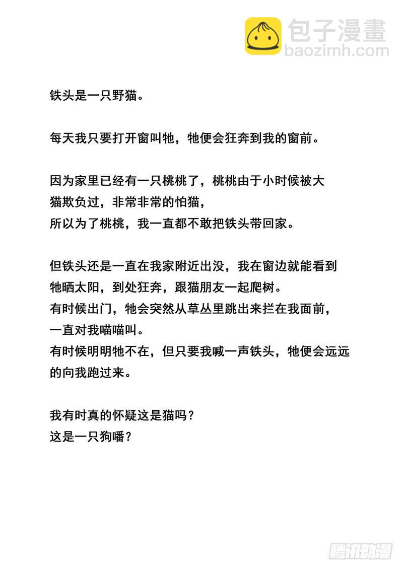 第42刻 铁头-第44话