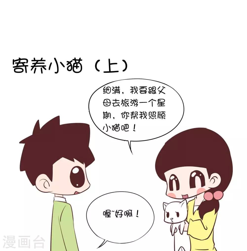 第54话   寄养小猫1-第54话