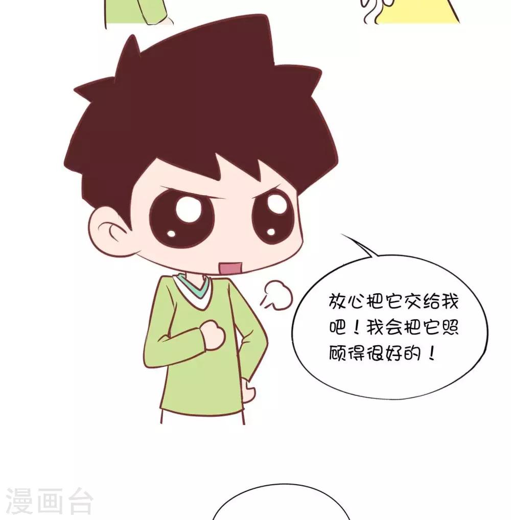 第54话   寄养小猫1-第54话