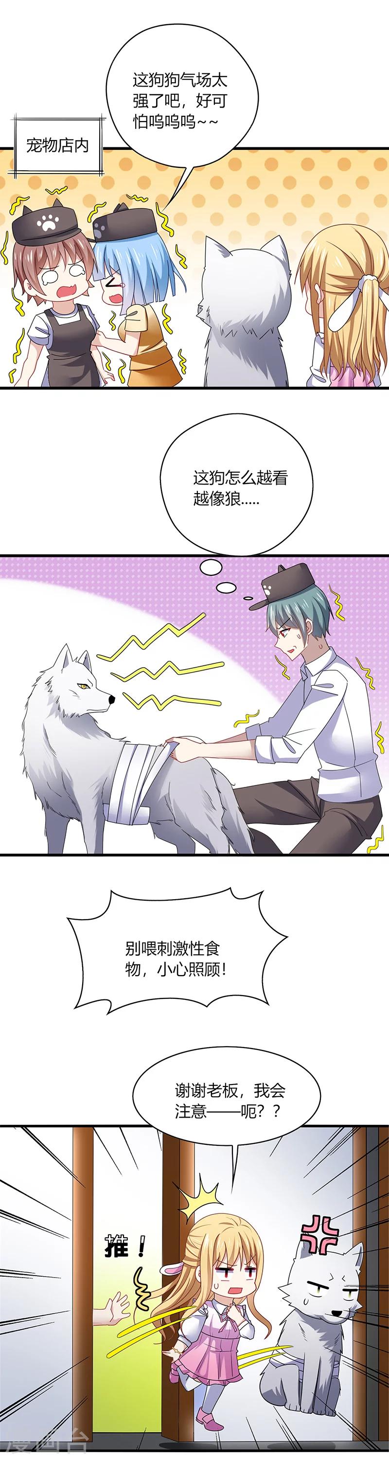 第1话 天啊！爱豆变成萨摩耶？-第2话