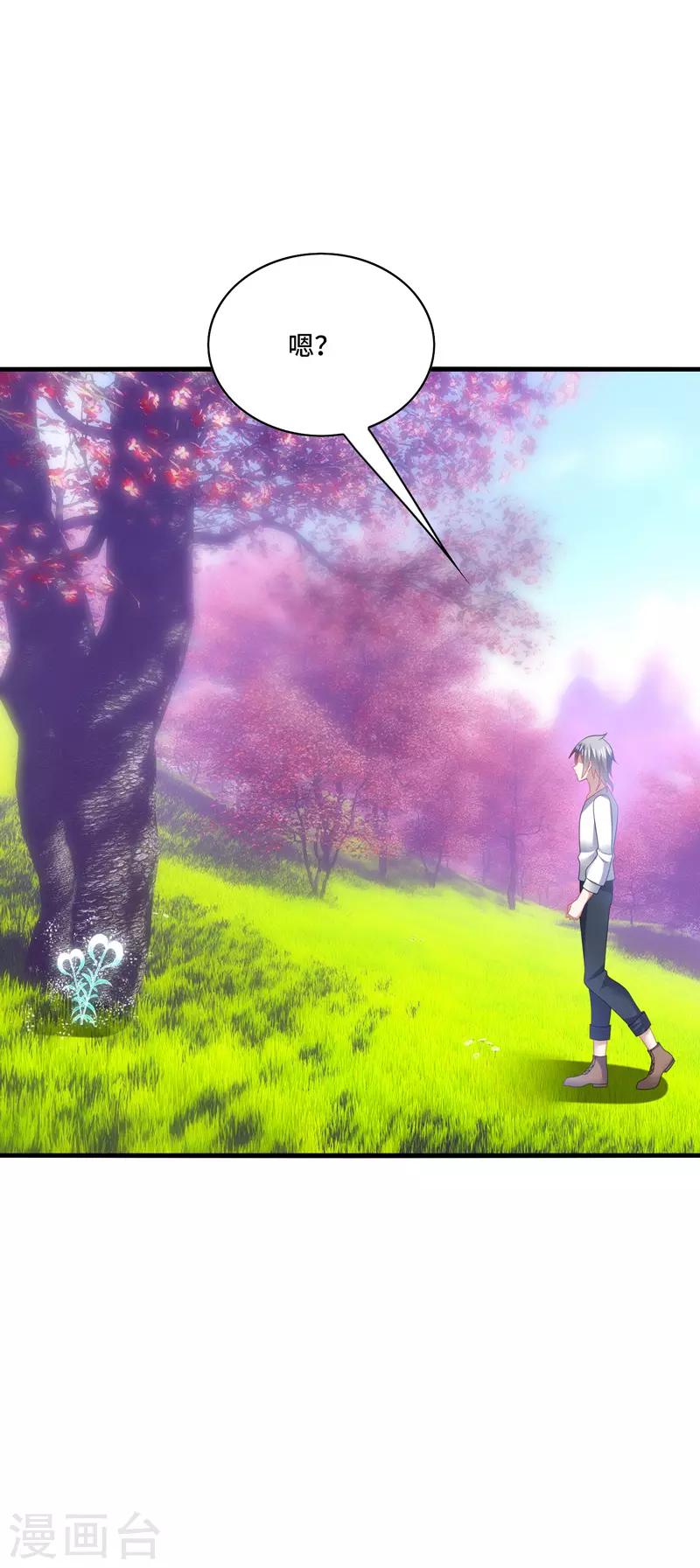 第41话 为你，我斩尽满山桃花！-第44话