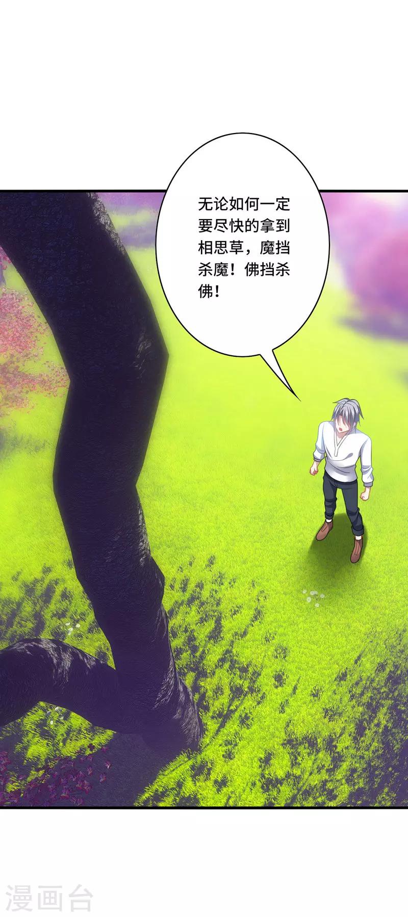 第41话 为你，我斩尽满山桃花！-第44话