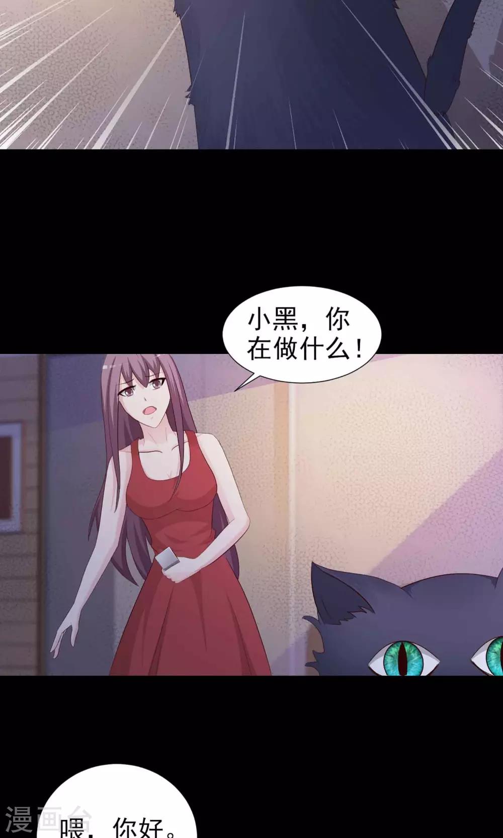 第5话 黑猫怪谈2(1/2)-第6话