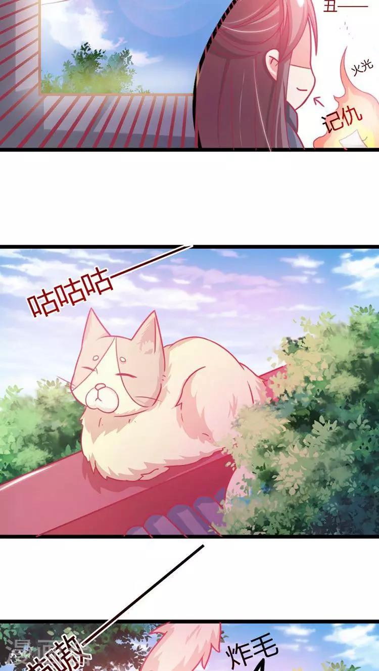 第13话 打击报复-第14话