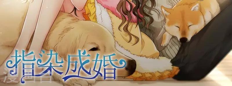 第95话 陪我玩-第96话