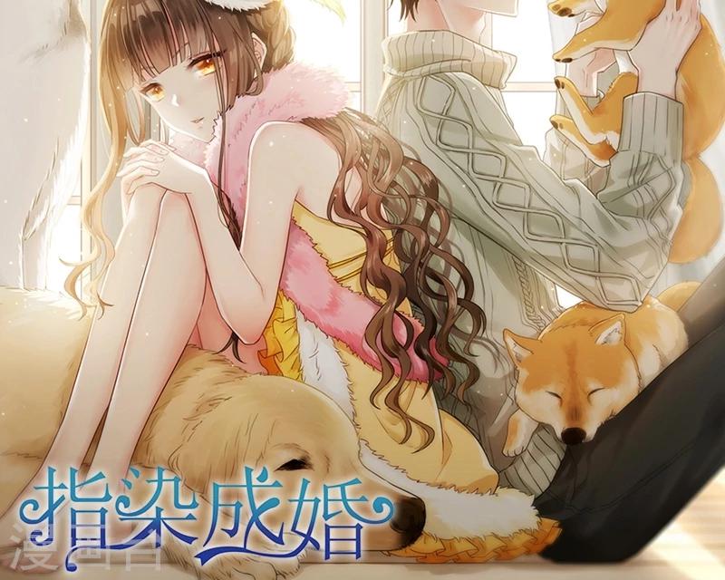 第97话 木彩珠-第98话