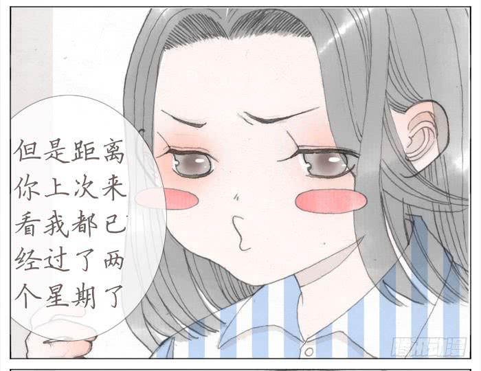 恋爱告白(1/2)-第40话