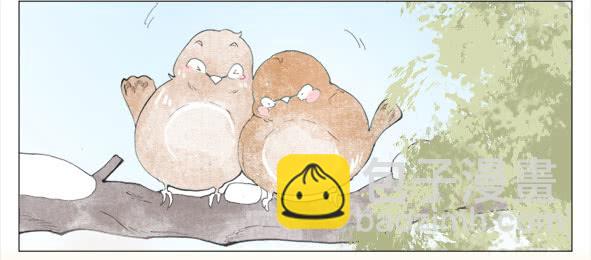 摄影任务-第56话