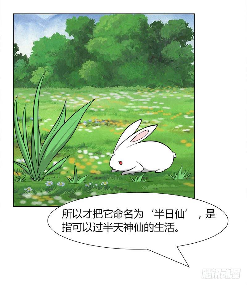 第二十八话(1/2)-第28话