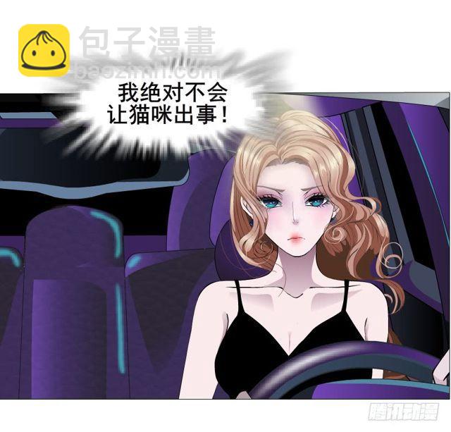 第二季 第20集 猫咪危机(1/2)-第144话