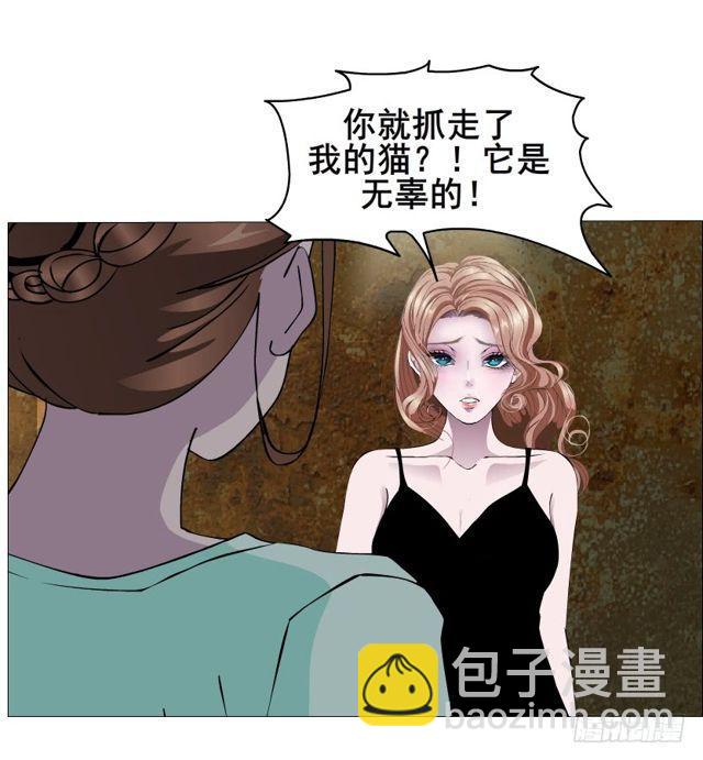 第二季 第20集 猫咪危机(1/2)-第144话